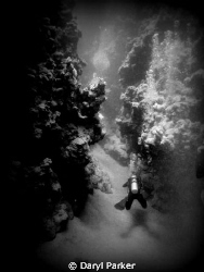 wide angle shot taken with my fantasea bigeye lens at mar... by Daryl Parker 